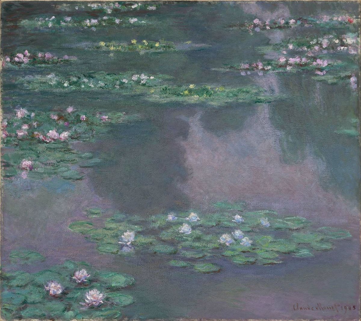 Pink water lilies and green leaves float on a pond whose blue and purple surface reflects the sky.