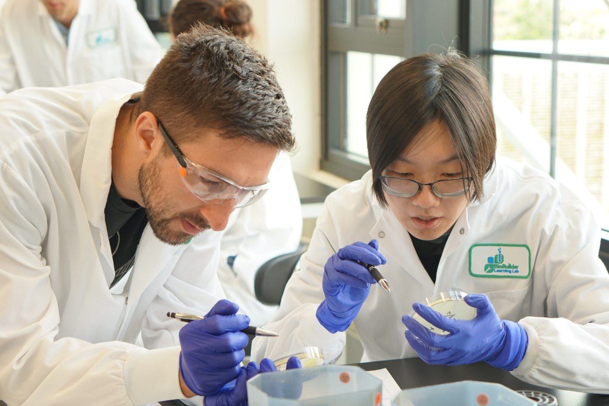 Learners working at a laboratory bench in a BioBuilder program.