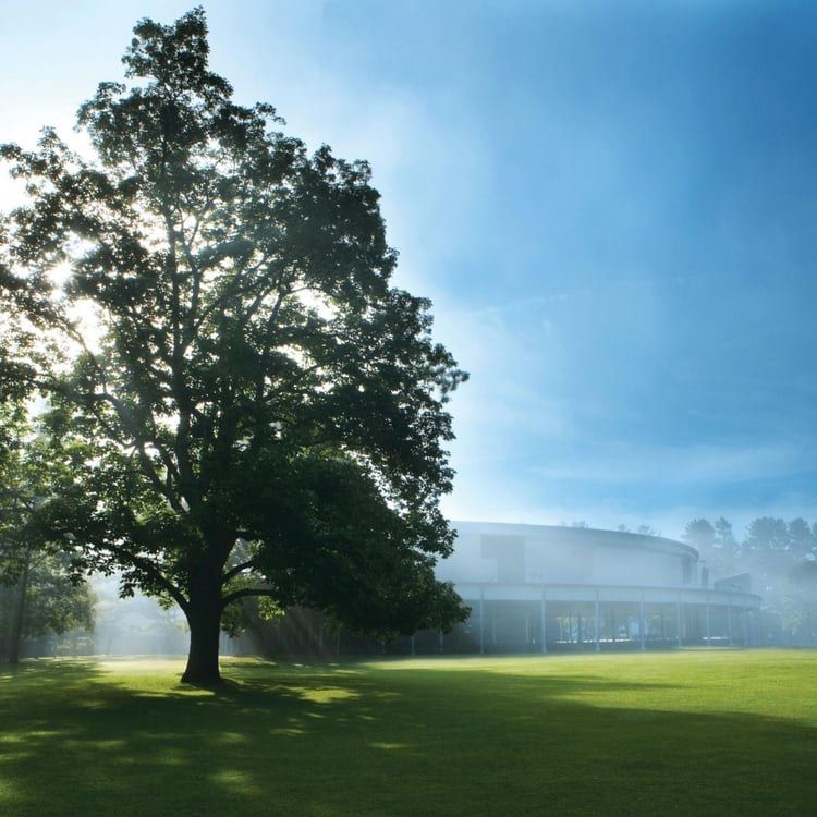 A large tree and the Koussevitzky Music Shed on the Tanglewood grounds.