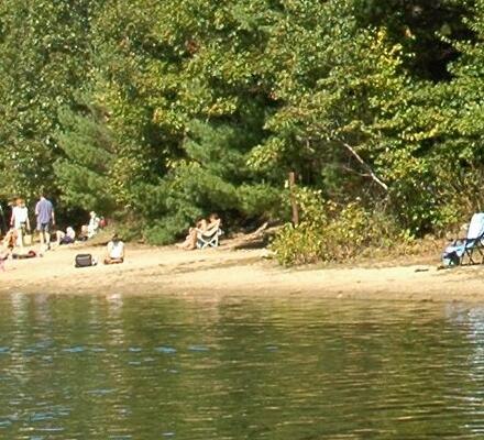 The wooded shore and water of Walden Pond State Reservation.